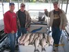 (05/22/2017) - Nice Striped Bass